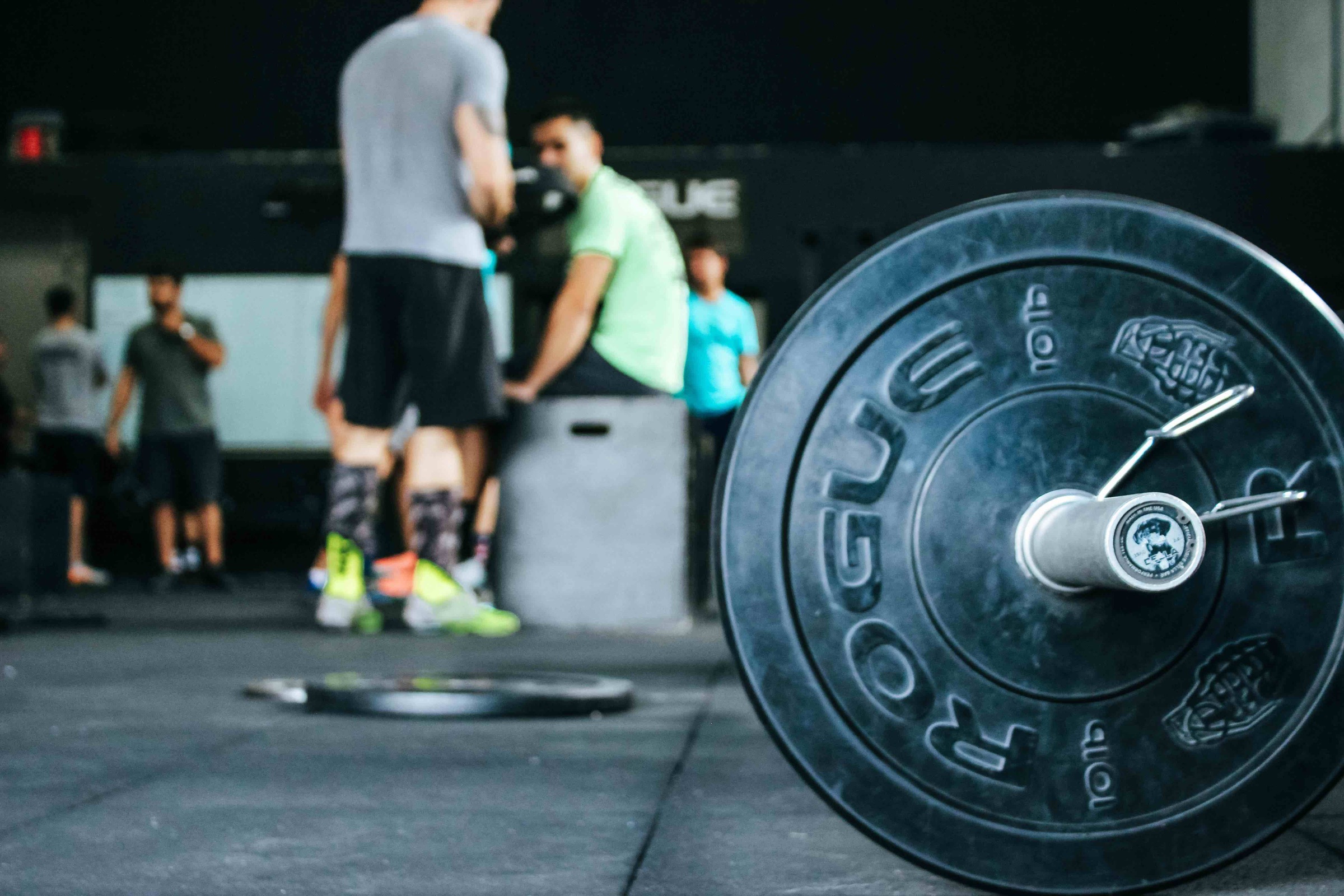 The Ultimate Barbell Arm Workout: Sculpt Your Biceps and Triceps