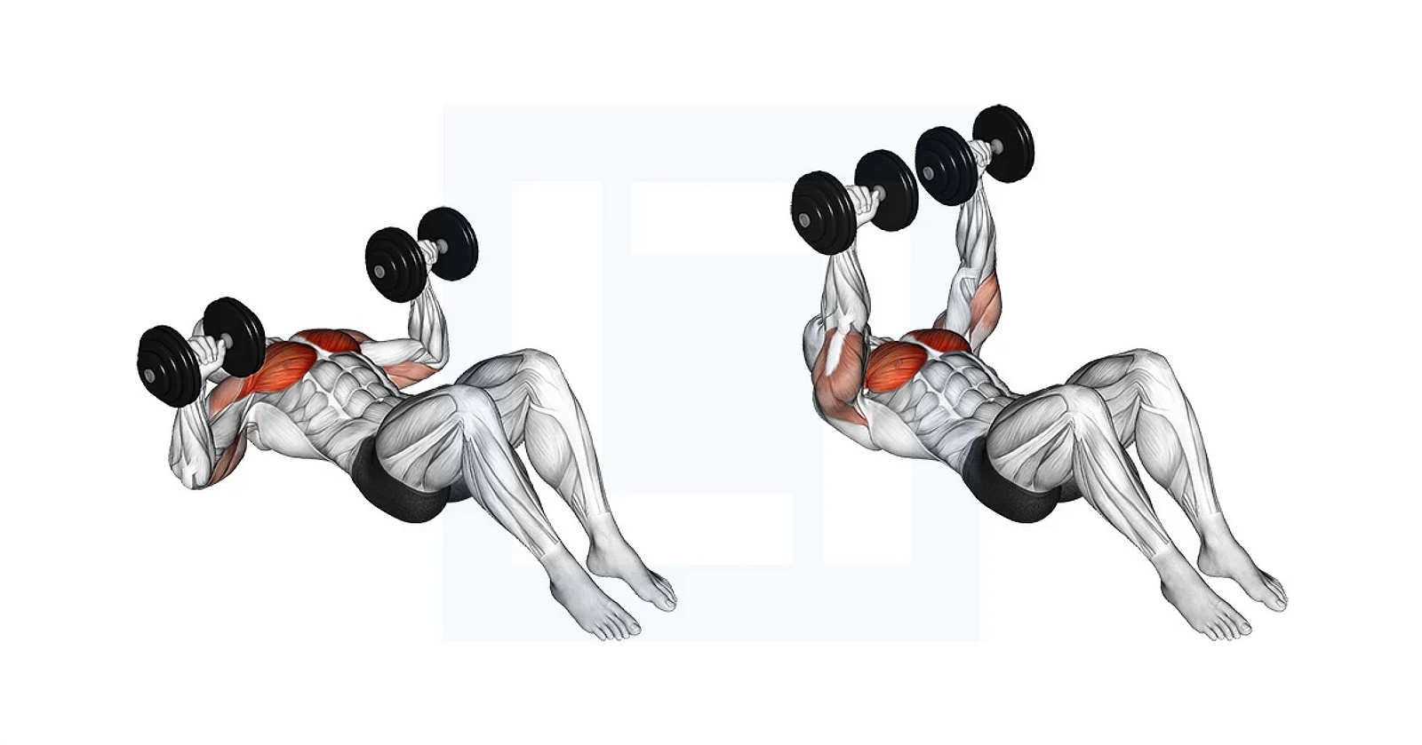 Illustration of a dumbbell floor press, knees bent and elbows on the floor, then pressing up, chest and triceps highlighted