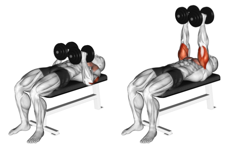 Illustration of a close-grip dumbbell press on a bench, dumbbells together at the chest, then pressed up, triceps highlighted