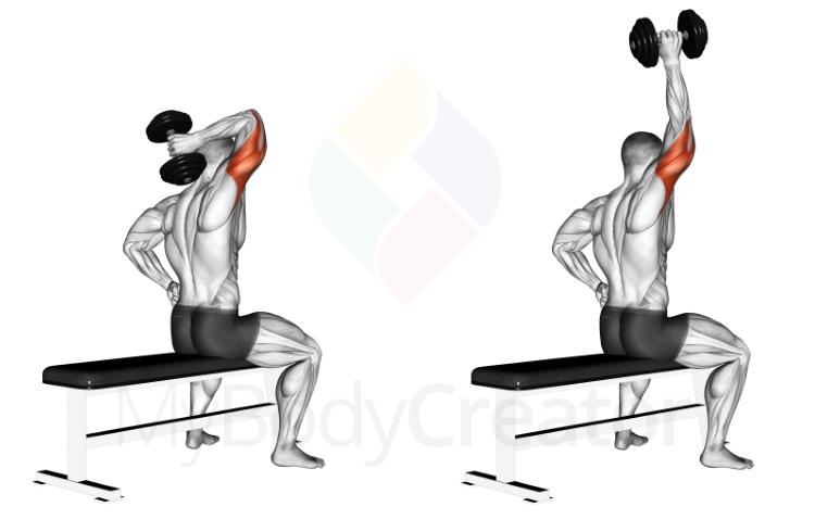 Illustration of a seated single-arm overhead triceps extension from behind, dumbbell lowered behind the head, then raised