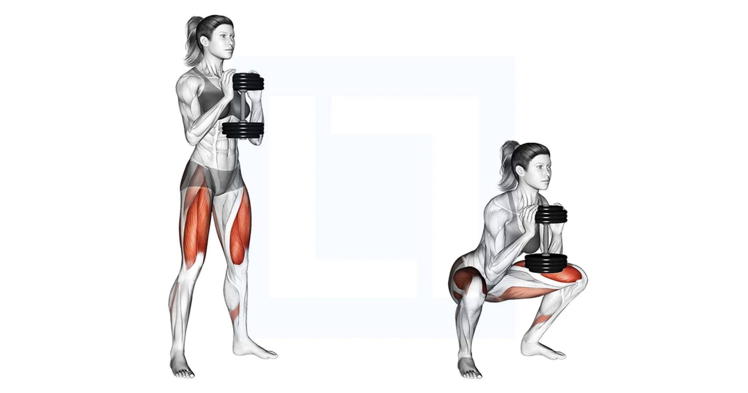 The Goblet Squat: Technique, Benefits, and Insights
