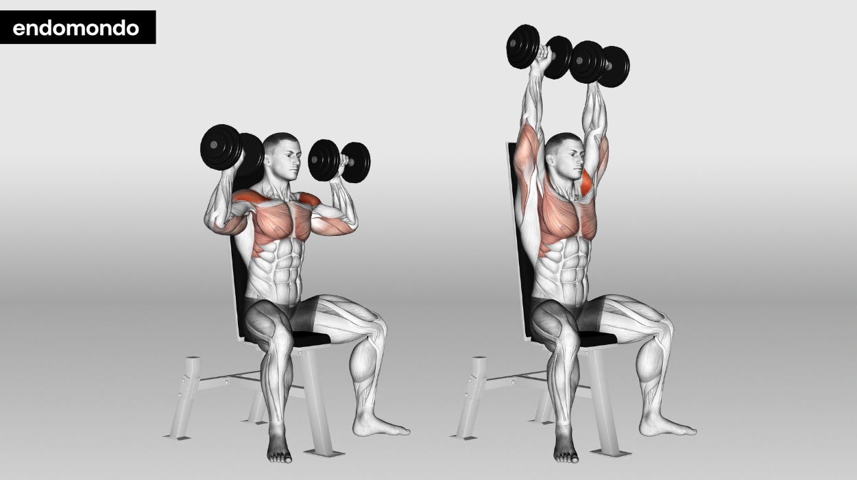 Illustration of a seated dumbbell shoulder press, dumbbells at shoulder height, then pressed overhead, shoulders highlighted