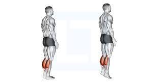 Illustration of a standing calf raise seen from behind, heels down, then up on the toes, calves highlighted