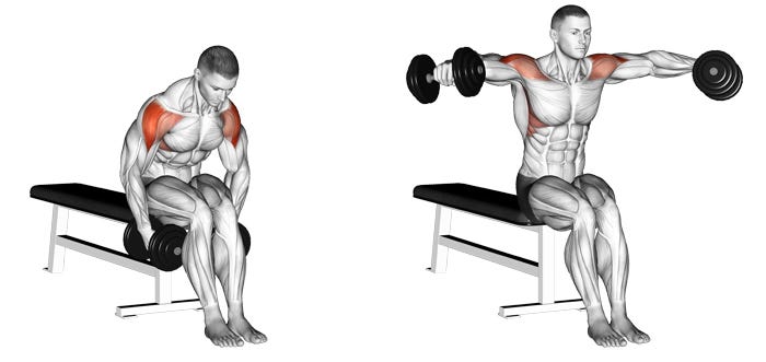 Illustration of seated dumbbell lateral raises, arms lifted out to shoulder height, shoulder muscles highlighted