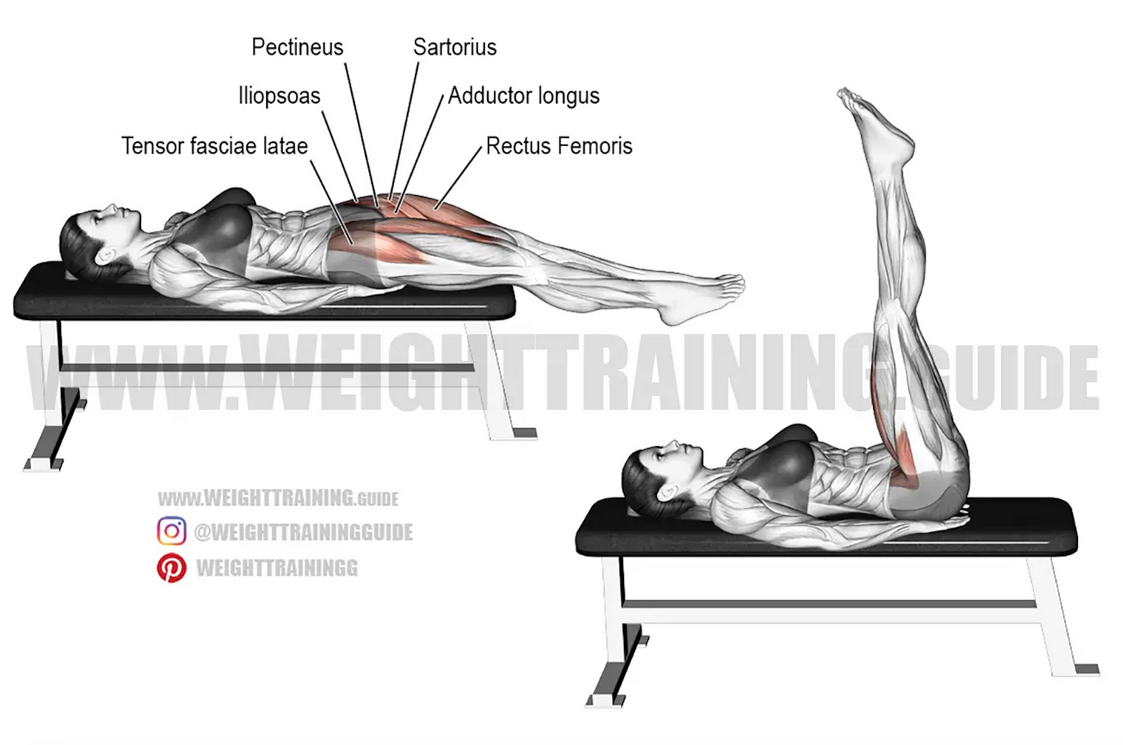 Illustration of a lying leg raise, legs lifted to vertical, with labeled hip flexors such as iliopsoas and rectus femoris
