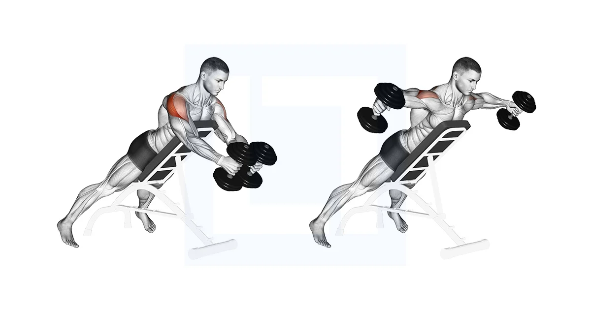 Mastering the Reverse Fly: A Complete Guide to Perfecting Your Form and Technique