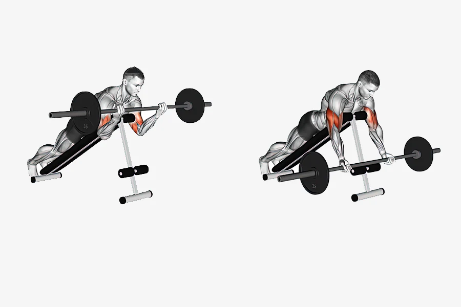 Ultimate Guide to Mastering Spider Curls for Bicep Growth