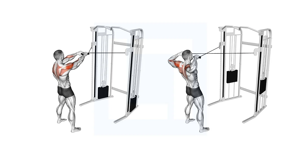 Effective Cable Face Pulls for Shoulder Strength and Stability