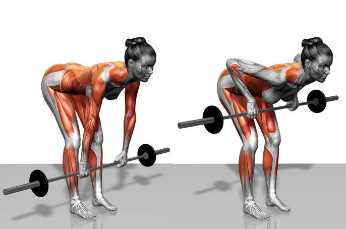 Ultimate Guide to Barbell Bent Over Row for Strength and Muscle Gains