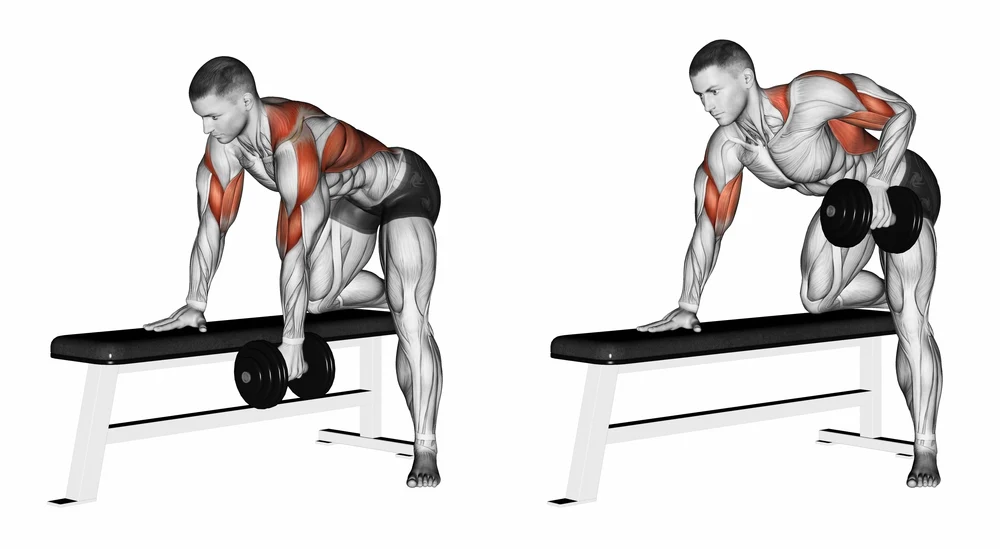 Mastering Bent-Over Rows for Total Back Development and Strength